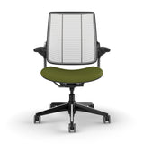 Humanscale Diffrient Smart Chair