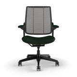 Humanscale Diffrient Smart Chair