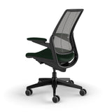 Humanscale Diffrient Smart Chair