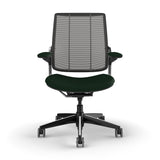 Humanscale Diffrient Smart Chair