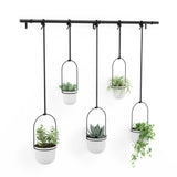 Triflora Hanging Planter - Set of 5