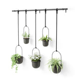 Triflora Hanging Planter - Set of 5