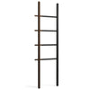 Hub Ladder